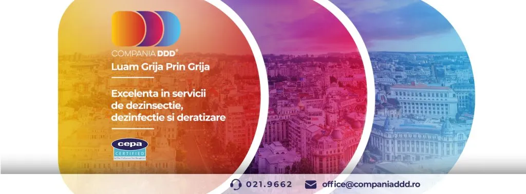 Cum Sa Previi Reinfestarea cu Plosnite de Pat dupa Tratament: Sfaturi pentru un Mediu Fara Plosnite