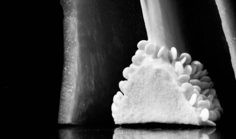 Photo Fresh vegetables