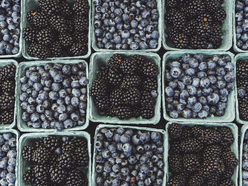 Photo Healthy Ingredients
