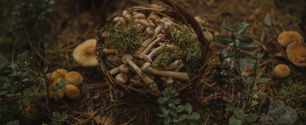 Photo Steamer basket