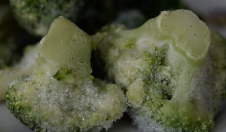 Photo Gourmet appetizers