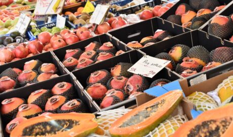 Photo Colorful fruits