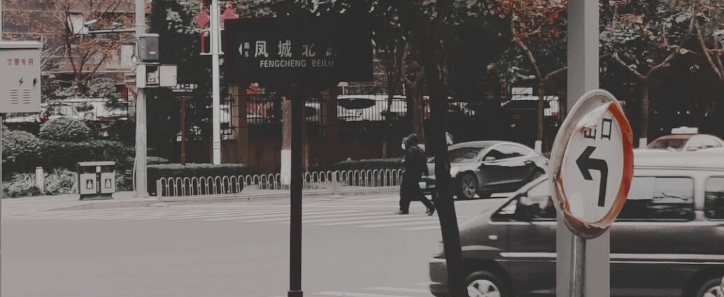 Photo tocanita rapida cu pui