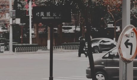 Photo tocanita rapida cu pui