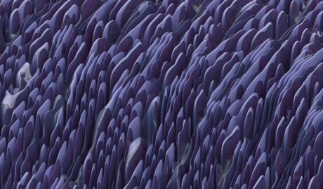 Photo clatite pufoase