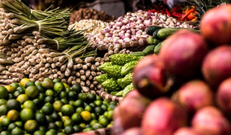 Photo vegetables