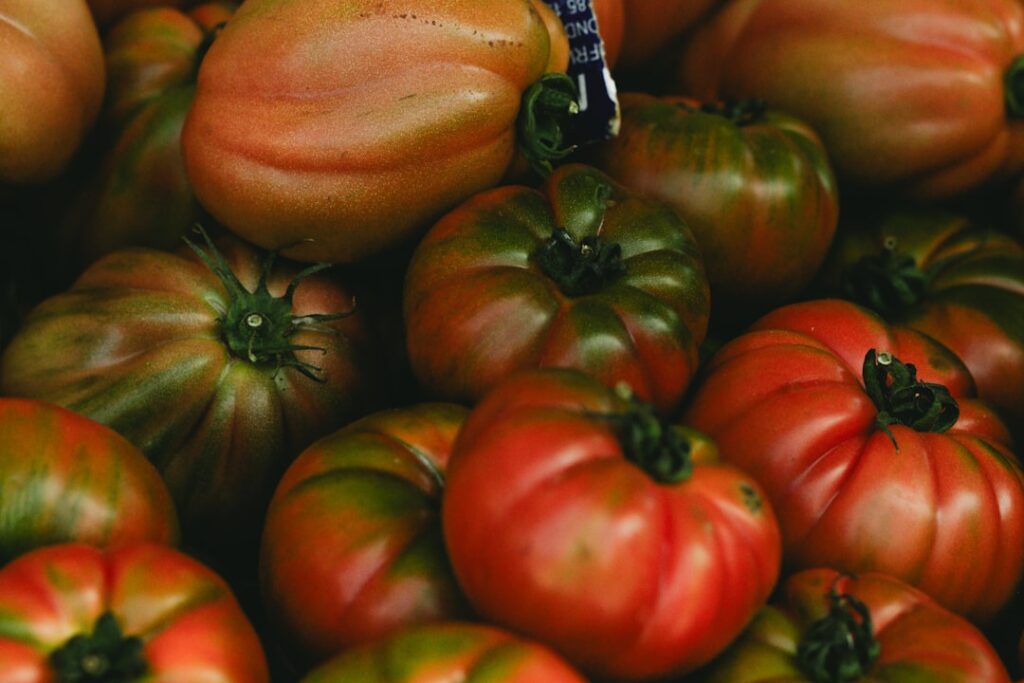 Photo tomato sauce