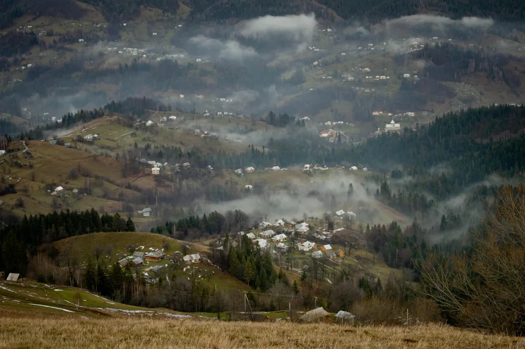 Photo cărbunelui