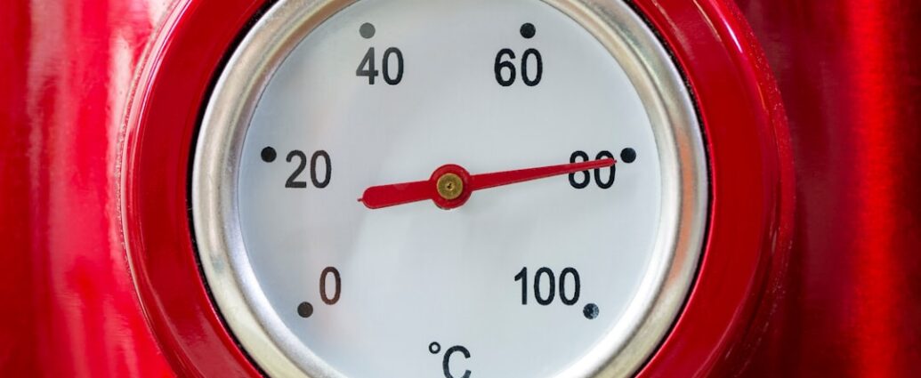 Photo meat temperature