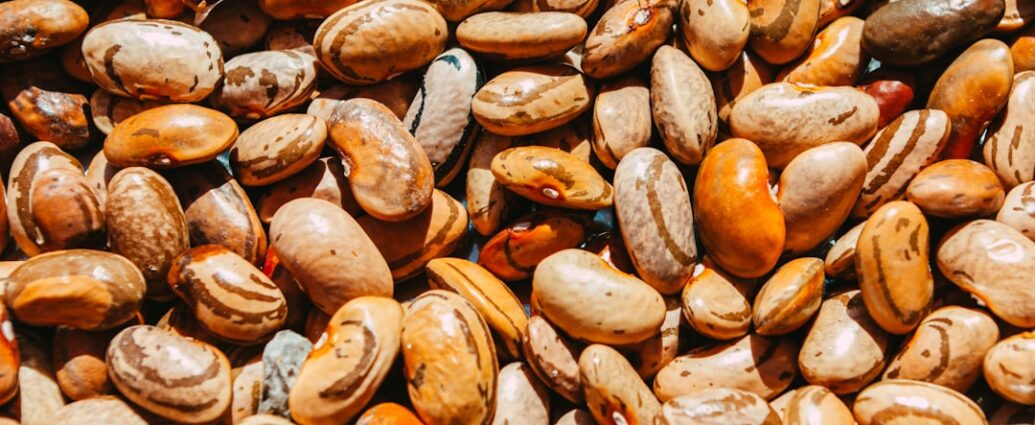 Photo legume care