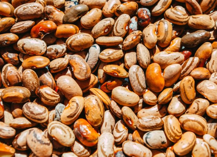 Photo legume care