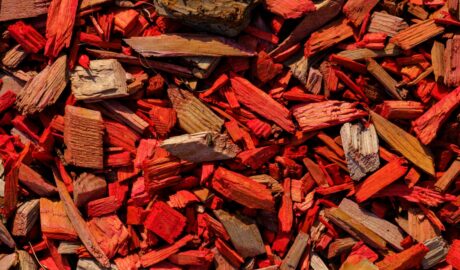 Photo wood chips smoking
