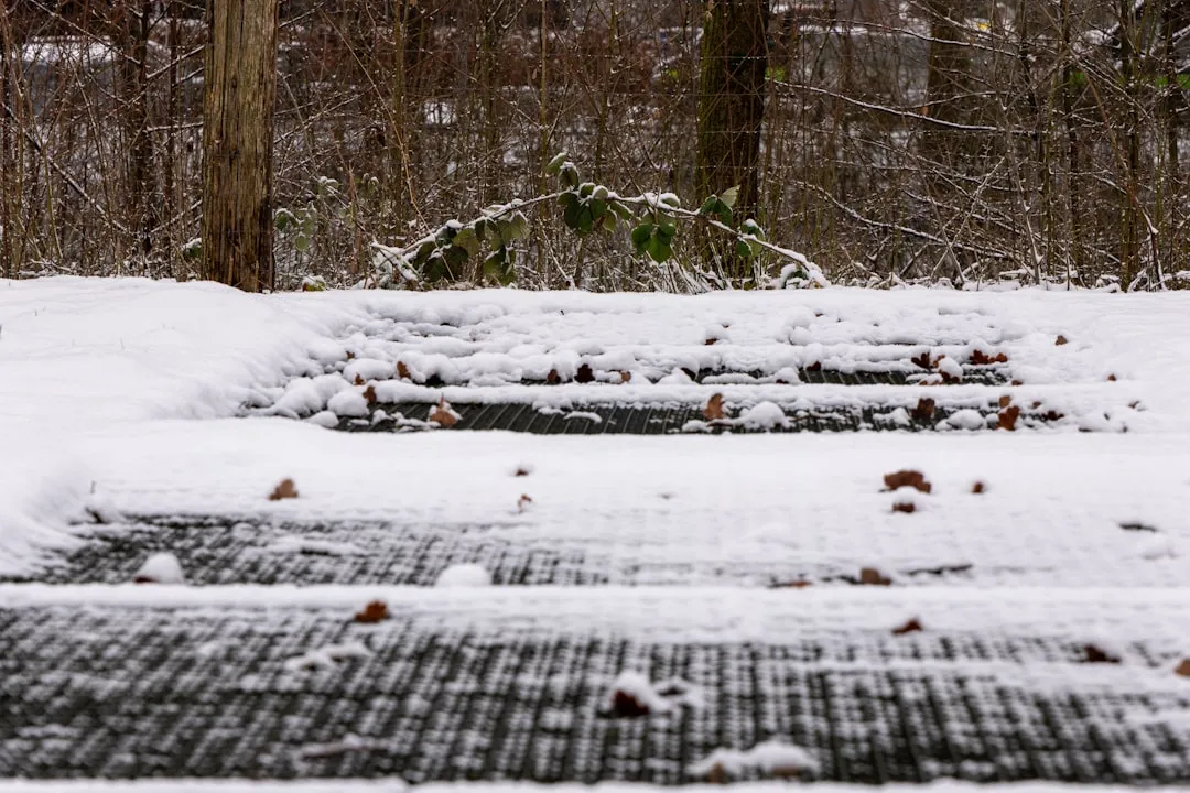 Photo grilling in cold season