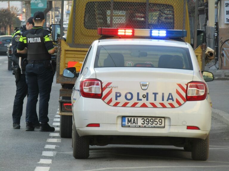 Cum alegi între grătarul portabil și cel fix pentru curte Photo grătarul portabil