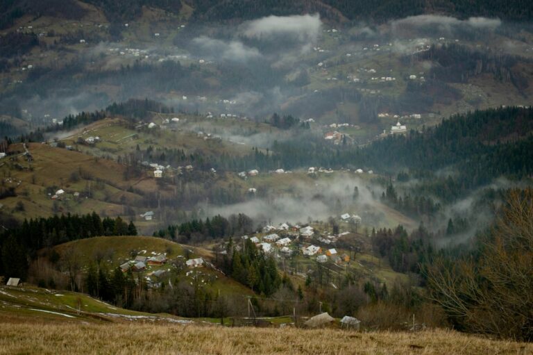 Photo cârnați reușiți