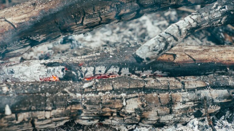 Photo grilling with natural charcoal