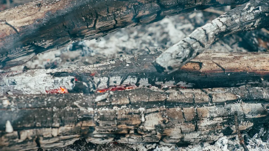 Photo grilling with natural charcoal