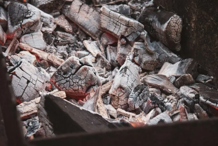 Photo charcoal vs gas grill comparison