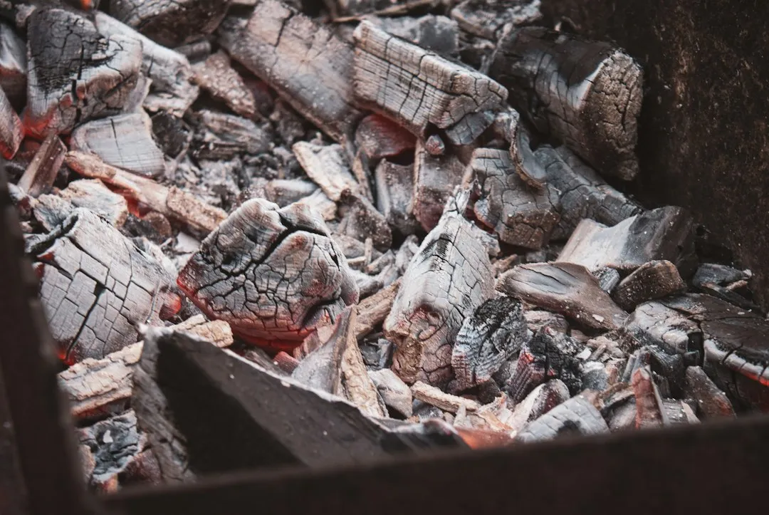 Photo charcoal vs gas grill comparison