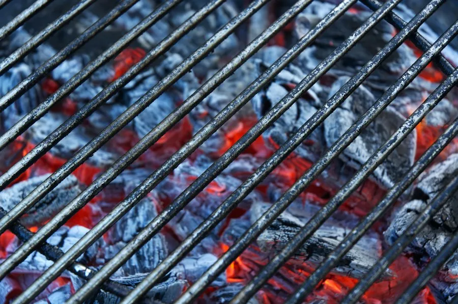 Photo charcoal vs gas grill comparison