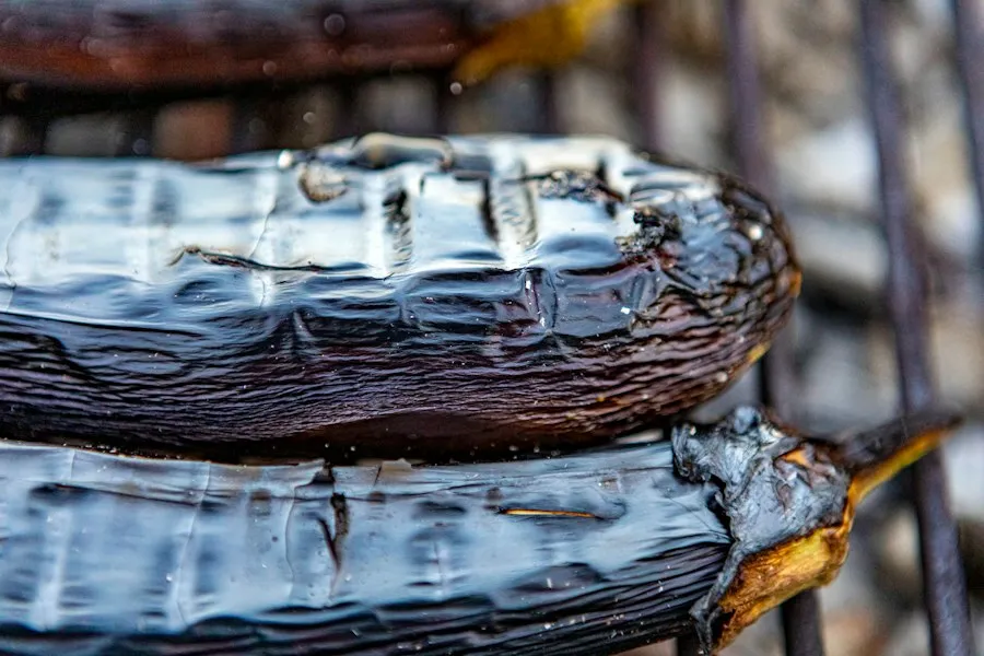 grilled vegetables guide